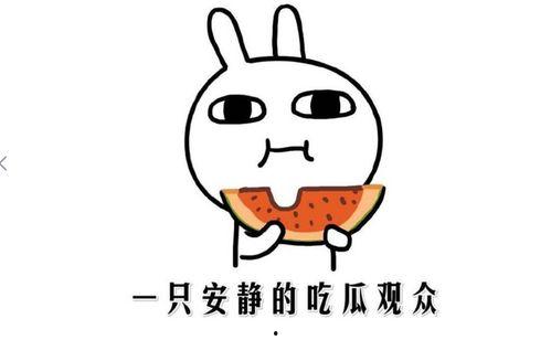 网上吃瓜的意思,揭秘网友围观背后的娱乐狂欢